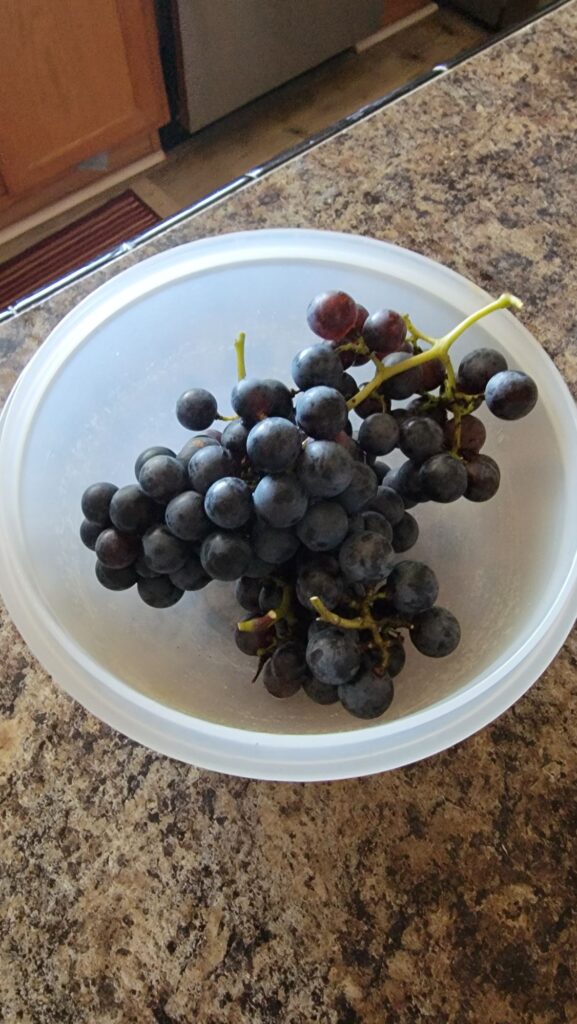 Grapes
